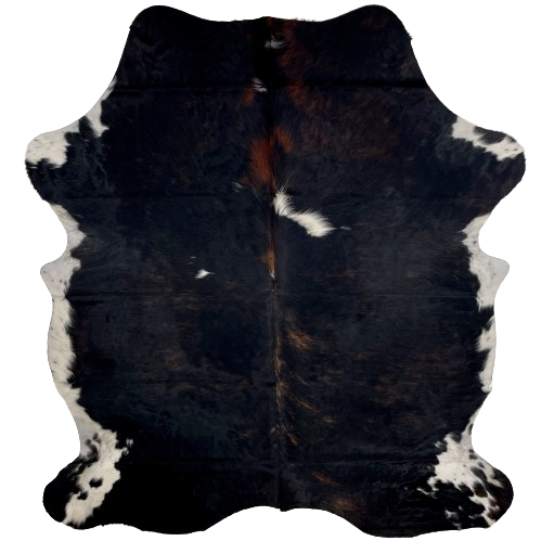 Colombian Dark Tricolor Cowhide:  black, with some brown and reddish brown, brindle markings, and a couple white spots on the back, and it has white, with black spots, on the belly and shanks - 6'11" x 5'5" (COTR1057)