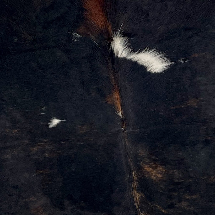Closeup of this Colombian, Dark Tricolor Cowhide, showing black, with some brown and reddish brown, brindle markings, and a couple white spots on the back (COTR1057)