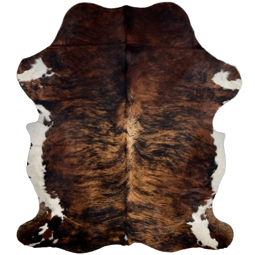 Colombian Tricolor Cowhide:  has a brown and black, brindle pattern, with white spots on the shanks, and off-white on the belly - 7'5" x 5'5" (COTR1059)