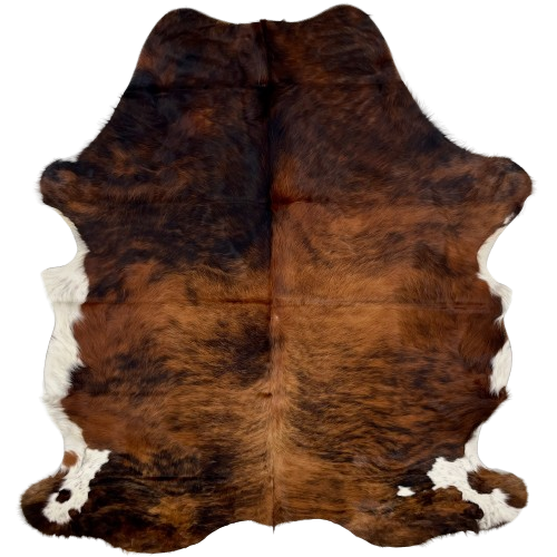 Colombian Tricolor Cowhide:  has a mix of red brown and black, with white on part of the belly, and white with black speckles on part of the hind shanks - 7' x 5'6" (COTR1061)
