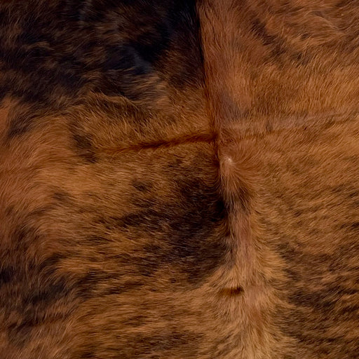 Closeup of this Colombian Tricolor Cowhide, showing a mix of red brown and black (COTR1061)