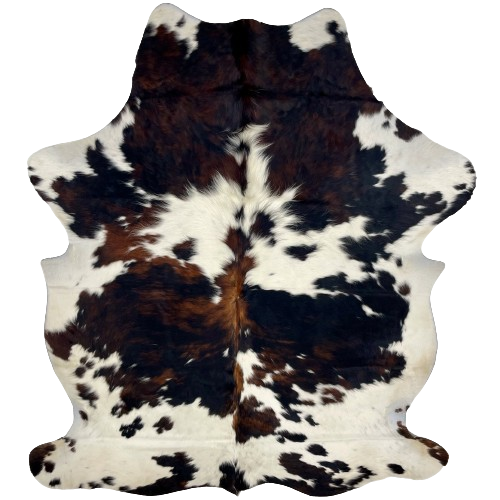 Colombian Tricolor Cowhide:  white, with large and small spots that have a mix of black and dark brown, and it has off-white on part of the belly and hind shanks - 7'2" x 5'4" (COTR1062)