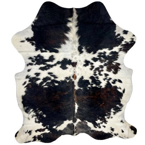 Colombian Tricolor Cowhide:  white, with some small and large, black spots, , a few small, brown spots on the spine, some faint, black speckles, and two large spots on the back that have a mix of black and brown with white speckles - 6'2" x 4'10" (COTR1067)
