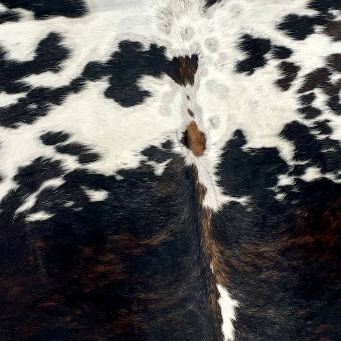Closeup of this Colombian, Tricolor Cowhide, showing white, with some small and large, black spots, a few small, brown spots on the spine, some faint, black speckles, and two large spots on the back that have a mix of black and brown with white speckles  (COTR1067)