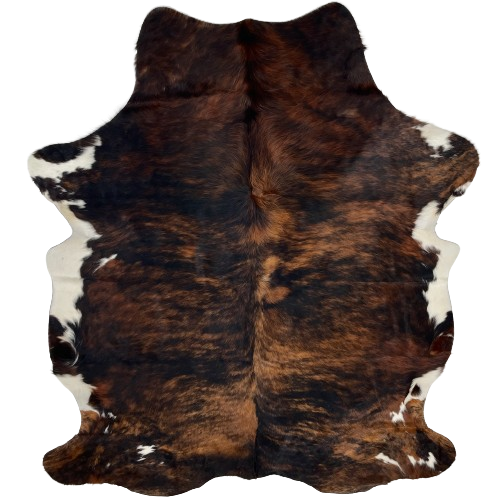 Colombian Tricolor Cowhide:  has a black and brown, brindle pattern, with white on part of the belly and shanks - 6'5" x 5' (COTR1069)