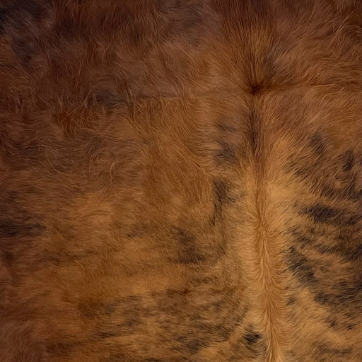 Closeup of this Colombian Tricolor Cowhide, showing mostly brown, with some black, brindle markings down the middle (COTR1073)