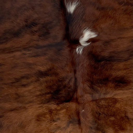 Closeup of this Colombian, Dark Tricolor Cowhide, showing long hair that is a mix of dark brown and black, and a few white spots in the middle (COTR1076)