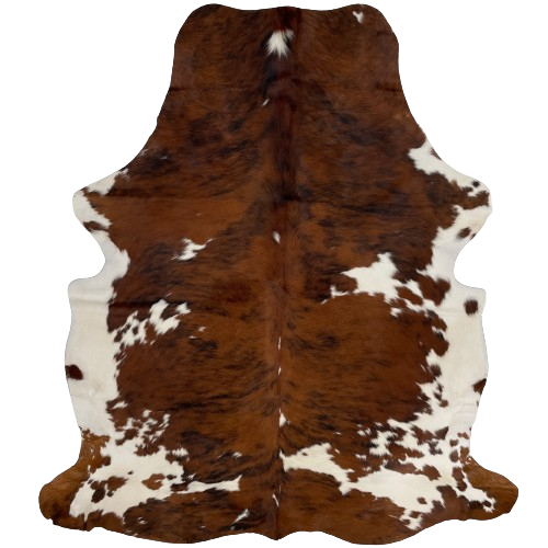 Colombian Tricolor Cowhide:  has a brown and black, brindle pattern, with a few small and large, white spots, and it has white on the belly and part of the shanks - 6'9" x 5'1" (COTR1082)