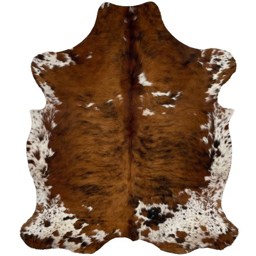 Colombian Tricolor Cowhide:  has long hair that has a brown and black, brindle pattern, with a few small, white spots, and it has white, with brown and black spots and speckles, on the belly and shanks - 6'10" x 5'3" (COTR1084)