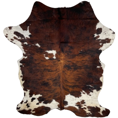 Colombian Tricolor Cowhide:  has a reddish brown and black brindle pattern, with a few small, white spots on the shoulder, white with black and brown speckles and spots on the fore shanks and burt, and it has off-white with brown and black speckles and spots on the belly and hind shanks - 7'4" x 5'1" (COTR1085)