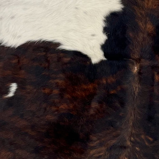 Closeup of this Colombian, Dark Tricolor Cowhide, showing a black and red brown, brindle pattern, with on large and one small, white spot on the left side (COTR1087)