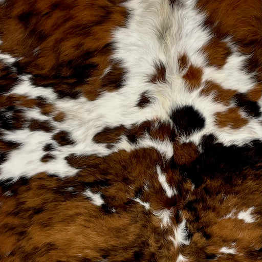 Closeup of this Colombian, Tricolor Cowhide, showing white, with black speckles, and large and small spots that have a mix of brown and black (COTR1089)
