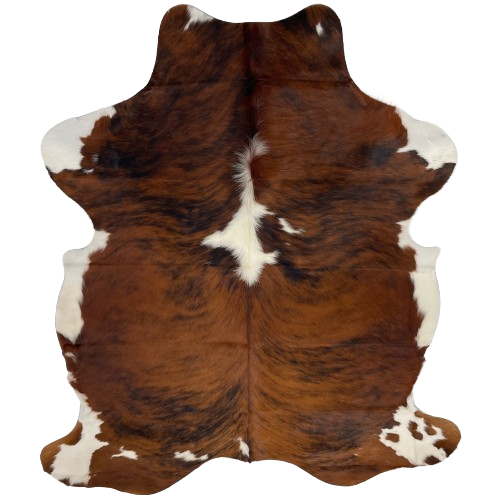 Colombian Tricolor Cowhide:  has a brown and black, brindle pattern with a large white spot in the middle of the shoulder, and white spots on the belly, butt, and shanks - 7'2" x 5'1" (COTR1092)
