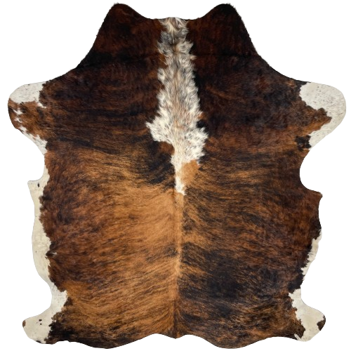 Colombian Tricolor Cowhide:  has a brown and black, brindle pattern, a white spot, with brown and black speckles, down the middle of the shoulder and on part of the fore shanks, and it has off-white on the belly and hind shanks - 7' x 5'7" (COTR1094)