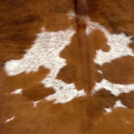 Closeup of this Colombian, Tricolor Cowhide, showing brown, with faint, black, brindle markings, and some white spots with brown and black speckles (COTR1095)