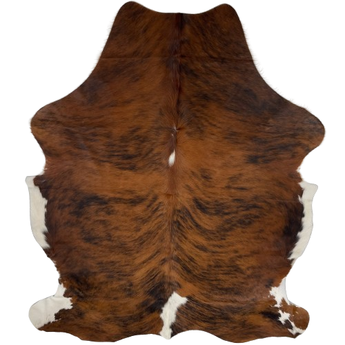 Colombian Tricolor Cowhide:  has a brown and black, brindle pattern, with two white spots on the spine, and white on the belly and part of the hind shanks - 6'9" x 5'2" (COTR1097)