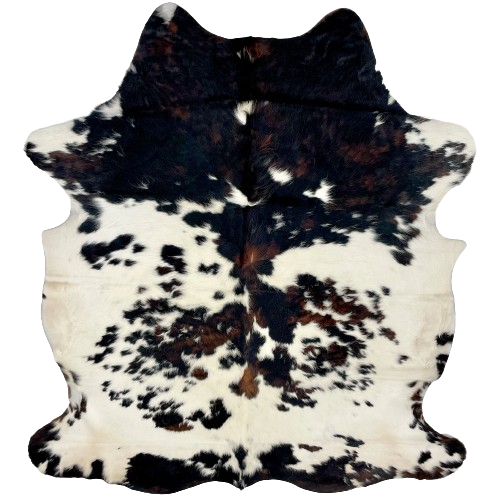 Colombian Tricolor Cowhide: long hair that is white with large and small spots black spots, some having a mix of black and dark brown - 6'9" x 5'5" (COTR1098)