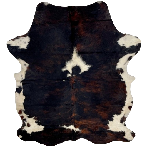 Colombian Dark Tricolor Cowhide:  mostly black, with some dark brown mixed in, and it has two white spots down the middle, and white on part of the belly and shanks - 6'9" x 5'3" (COTR1099)