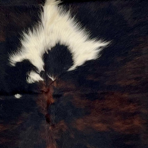 Closeup of this Colombian, Dark Tricolor Cowhide, showing mostly black, with some dark brown mixed in, and one of two white spots down the middle (COTR1099)