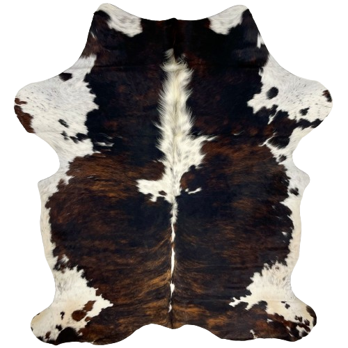 Colombian Tricolor Cowhide:  has a black and brown, brindle pattern, white down the spine, white with faint, black speckles down the middle of the shoulder, and white with black speckles on the belly and shanks - 7' x 5' (COTR1105)