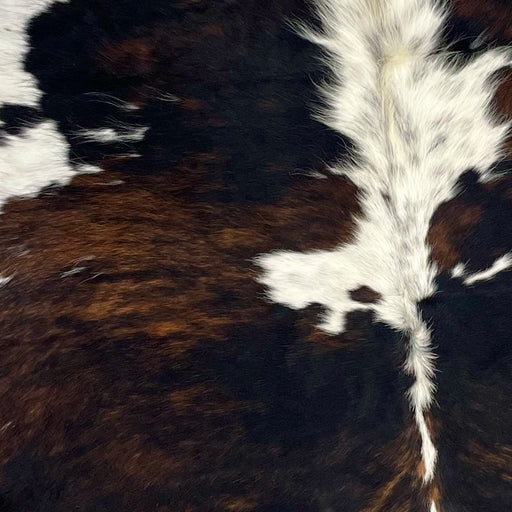 Closeup of this Colombian, Tricolor Cowhide, showing a black and brown, brindle pattern, white down the spine, white with faint, black speckles down the middle of the shoulder (COTR1105)