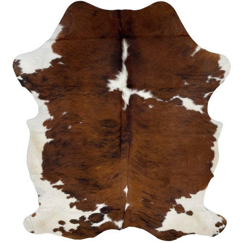 Colombian Tricolor Cowhide:  brown with some black, brindle markings, some white spots on the spine, shoulder, and fore shanks, and off-white on the belly and part of the hind shanks - 6'8" x 5' (COTR1107)