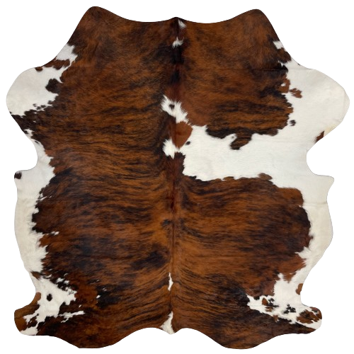 Colombian Tricolor Cowhide:  has a reddish brown and black, brindle pattern, with a few small, white spots on the spine, a large, white spot across the right side of the shoulder, and white on the belly and shanks - 6'8" x 5'9" (COTR1109)