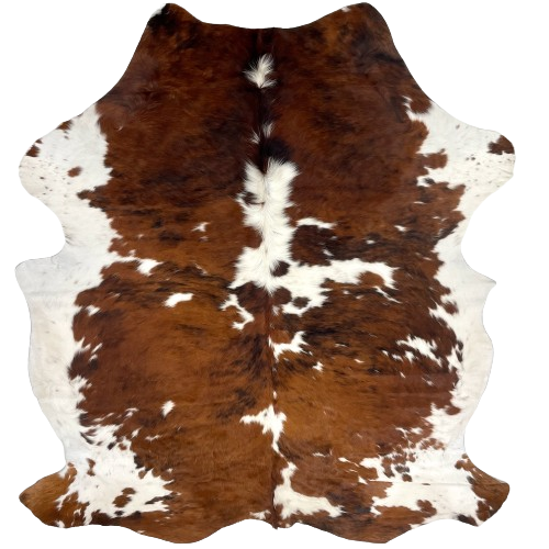 Colombian Tricolor Cowhide:  has a brown and black, brindle pattern, with small and large, white spots down the middle and on the back, and it has white, with some brown speckles and spots, on the belly and shanks .- 6'9" x 5''5" (COTR1122)