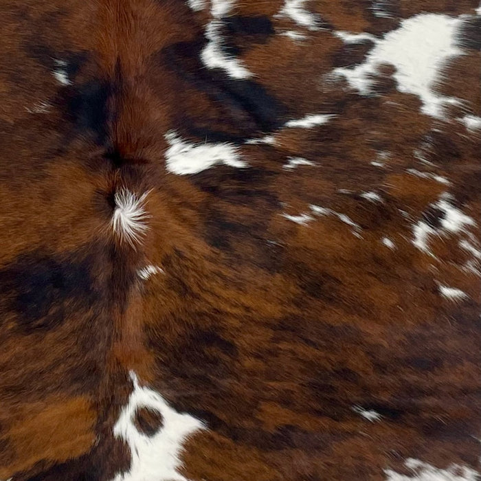 Closeup of this Colombian, Tricolor Cowhide, showing a reddish brown and black, brindle pattern in the middle (COTR1123)