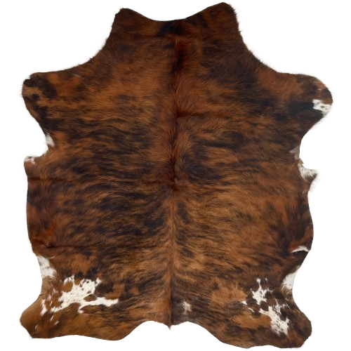 Colombian Tricolor Cowhide, long hair:has long hair that has a reddish brown and black, brindle pattern, and a couple of white spots that have brown and black speckles - 6'7" x 5' (COTR1126)