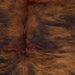 Closeup of this Colombian, Tricolor Cowhide, showing long hair that has a reddish brown and black, brindle pattern (COTR1126)