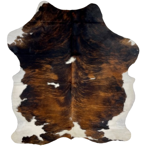 Colombian Tricolor Cowhide:  has a brown and black, brindle pattern, with a couple small, white spots and it has white on the belly and part of the shanks - 7'2" x 5'9" (COTR1130)