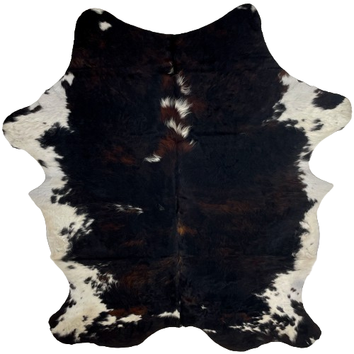 Large Colombian Dark Tricolor Cowhide:  has a mix of black and reddish brown, with a few small white spots, and white on part of the belly and shanks - 7'6" x 5'9" (COTR1131)