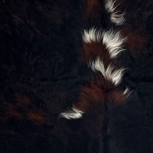 Closeup of this Large, Colombian, Dark Tricolor Cowhide, showing a mix of black and reddish brown, with a few small white spots (COTR1131)