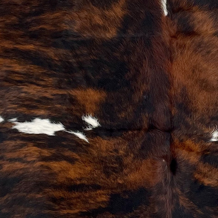 Closeup of this Large, Colombian, Tricolor Cowhide, showing a mix of red brown and black, and white spots with black speckles (COTR1133)