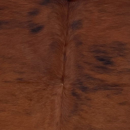 Closeup of this Colombian, Tricolor Cowhide, showing reddish brown, with a some strips of black (COTR1134)