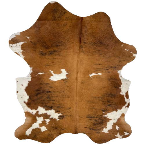 Colombian Tricolor Cowhide:  brown, with black, brindle markings, and it has a few white spots, and white on the belly and part of the shanks - 6'7" x 4'11" (COTR1137)