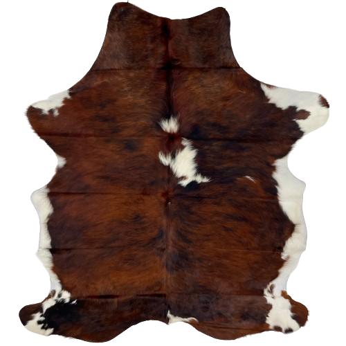 Colombian Tricolor Cowhide:  has a mix of red brown and black, with a couple of white spots down the middle, and white on the belly and part of the shanks - 6'9" x 4'11" (COTR1151)