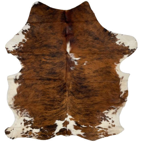 Colombian Tricolor Cowhide:  has a brown and black, brindle pattern, with a couple off-white spots down the middle, and off-white on part of the belly and shanks - 6'6" x 5'4" (COTR1152)