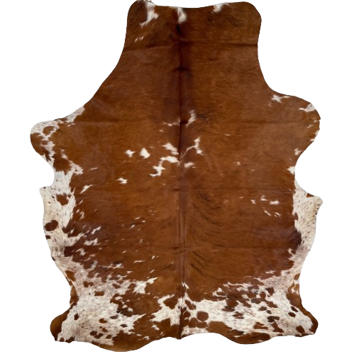 Large Colombian Tricolor Cowhide:  brown, with small, white spots and a few black, brindle markings on the back, and white with brown and black speckles and brown spots on the belly, butt, and shanks - 7'11" x 5'7" (COTR1159)