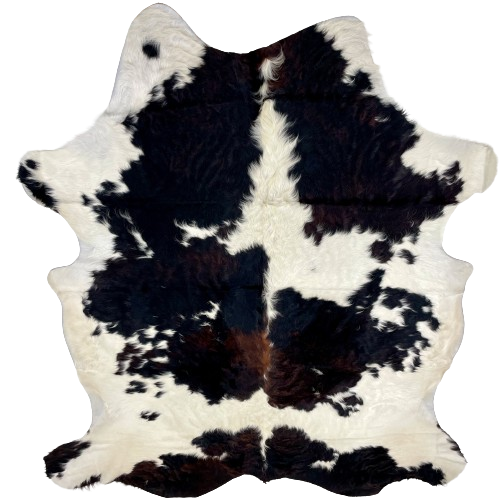 Large Colombian Tricolor Cowhide:  long hair that is white with black spots , and other spots that have a mix of black and reddish brown - 7'11" x 5'10" (COTR1161)