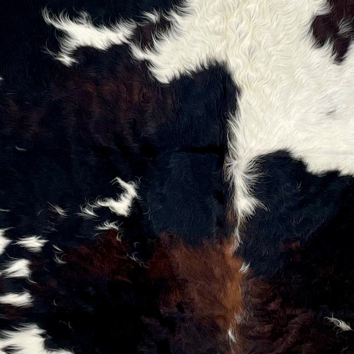 Closeup of this Large, Colombian, Tricolor Cowhide, showing long hair that is white with black spots , and other spots that have a mix of black and reddish brown (COTR1161)