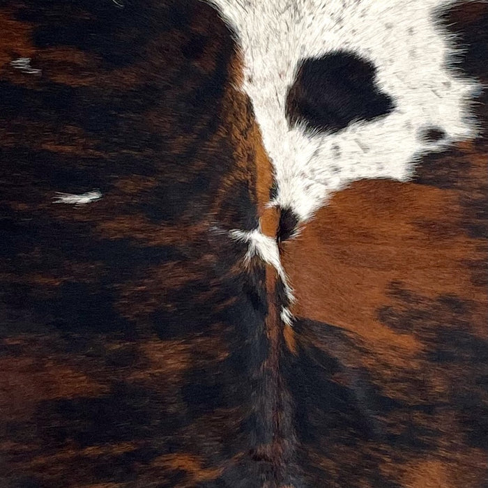 Closeup of this Large, Colombian, Tricolor Cowhide, showing white with black speckles, and large spots that have a mix of black and brown (COTR1162)