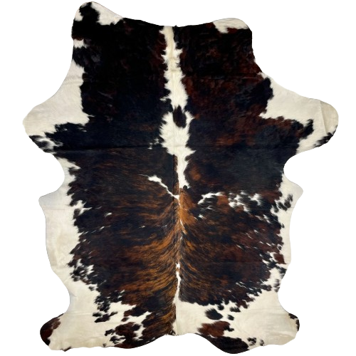 Large Colombian Tricolor Cowhide:  white with a brown and black, brindle pattern down both sides, and it has some small spots tha have a mix of black and brown - 7'8" x 5'2" (COTR1163)