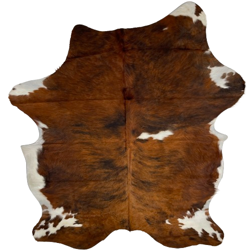 Large Colombian Tricolor Cowhide:  has a reddish brown and black, brindle pattern, with one white spot on the right side of the back, and white on part of the shanks and belly - 7'8" x 5'9" (COTR1168)