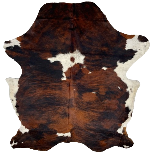 Large Colombian Tricolor Cowhide:  has a black and reddish brown brindle pattern, with a few white spots on the back and white on part of the belly and shanks - 7'11" x 6'1" (COTR1169)