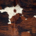 Closeup of this Large Colombian Tricolor Cowhide, showing a black and reddish brown brindle pattern, with a few white spots on the back (COTR1169)