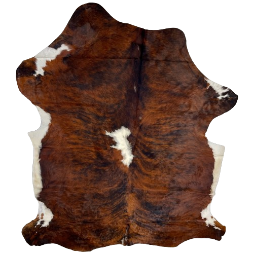 Large Colombian Tricolor Cowhide:  has a red brown and black, brindle pattern, with a white spot in the middle of the back, and white on the belly - 7'6" x 5'3" (COTR1171)