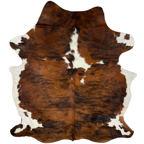 Large Colombian Tricolor Cowhide:  has a reddish brown and black, brindle pattern, with a few white spots in the middle of the shoulder, and white on the belly and part of the shanks - 7'6" x 5'9" (COTR1173)