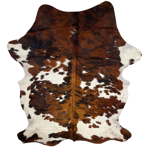 Colombian Tricolor Cowhide:  white with brown and black speckles, and large and small spots that have a reddish brown and black, brindle pattern - 7'5" x 5'4" (COTR1176)